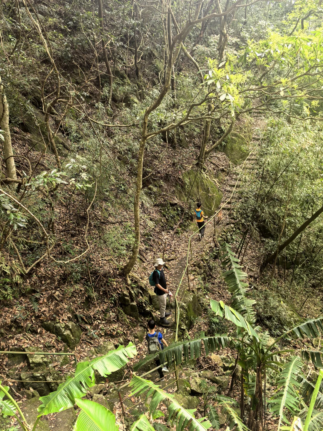 第16条亲子路线 森林秘境云堡寨