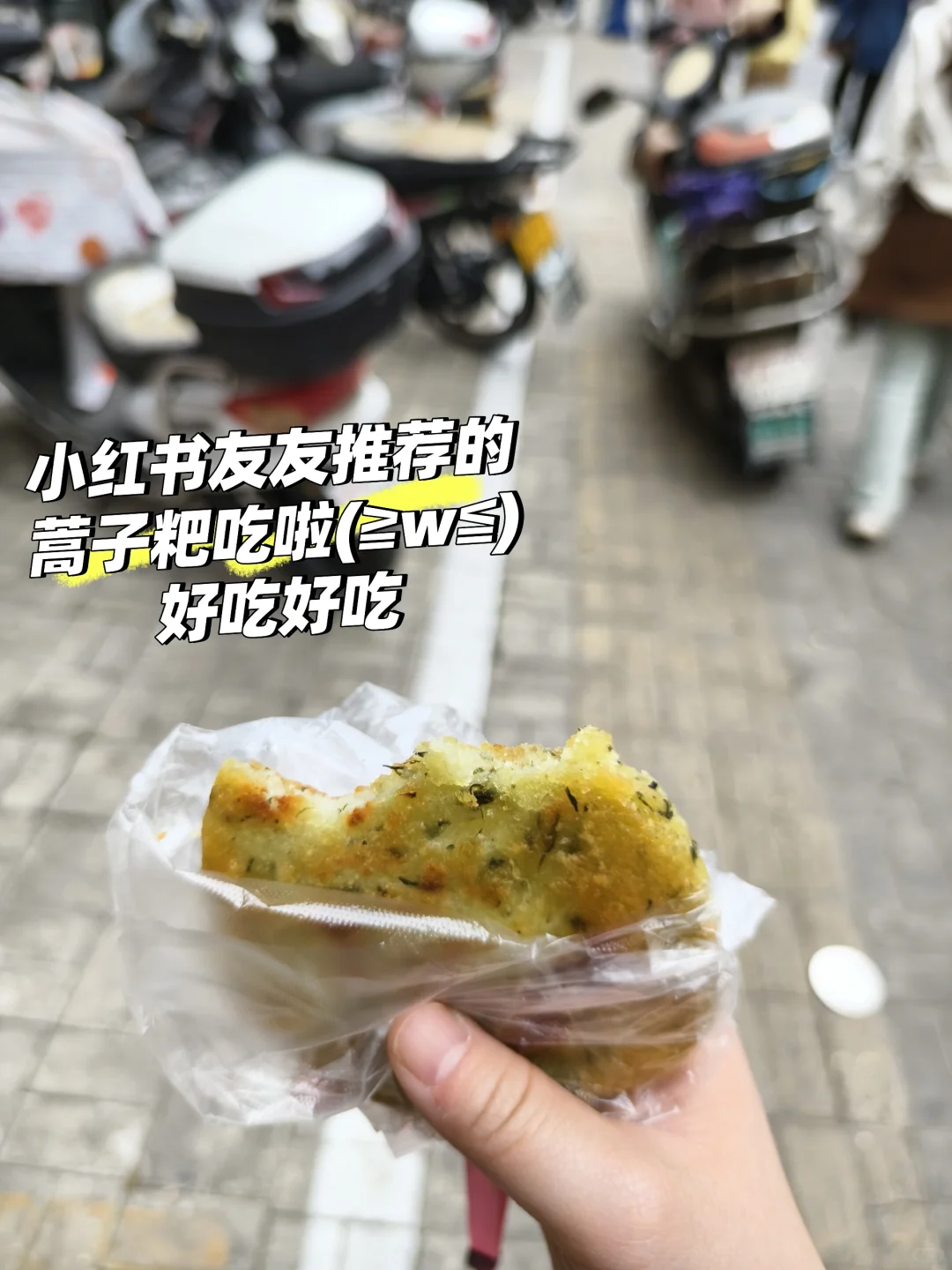 桐城之行