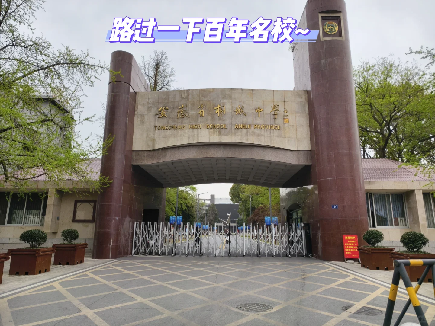 桐城之行