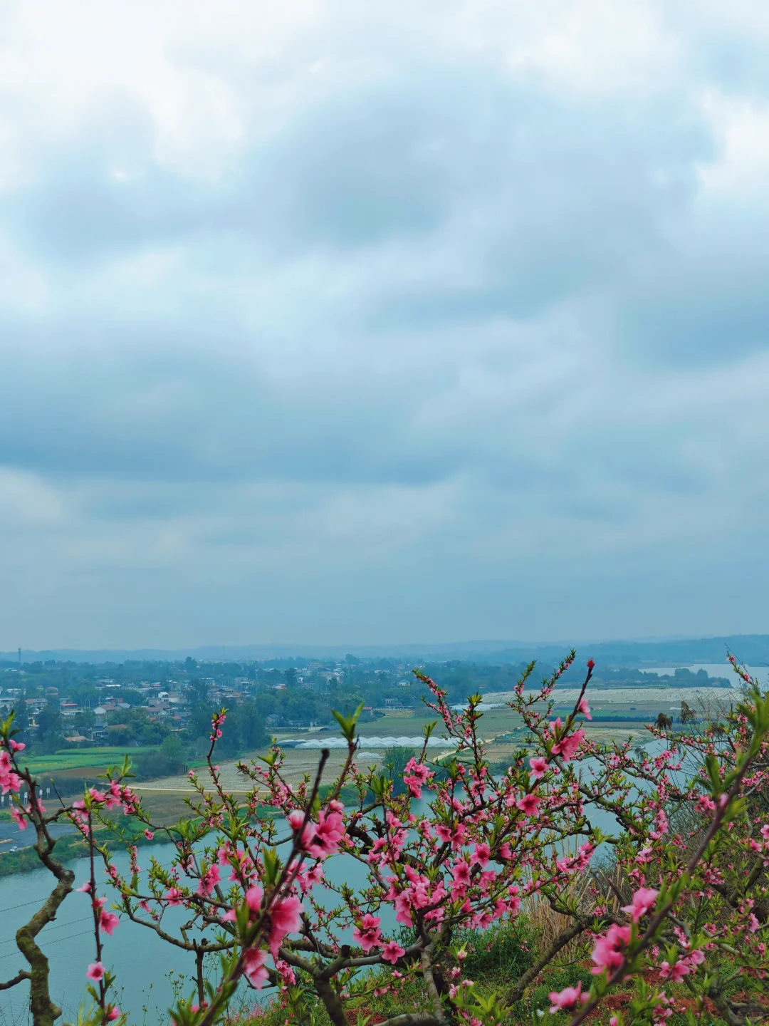 比龙泉山人少,比林芝近!成都人的桃花源