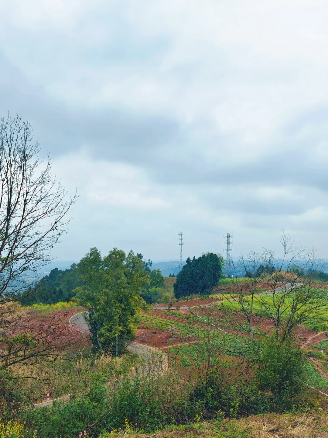 比龙泉山人少,比林芝近!成都人的桃花源