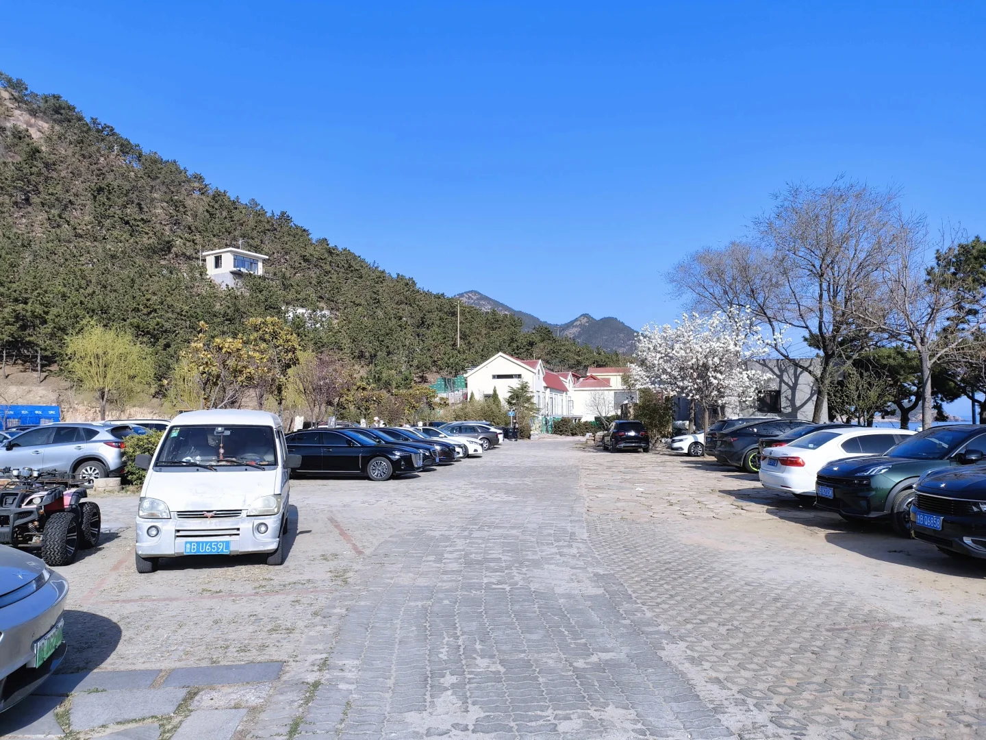 东麦窑村外面的景观路上