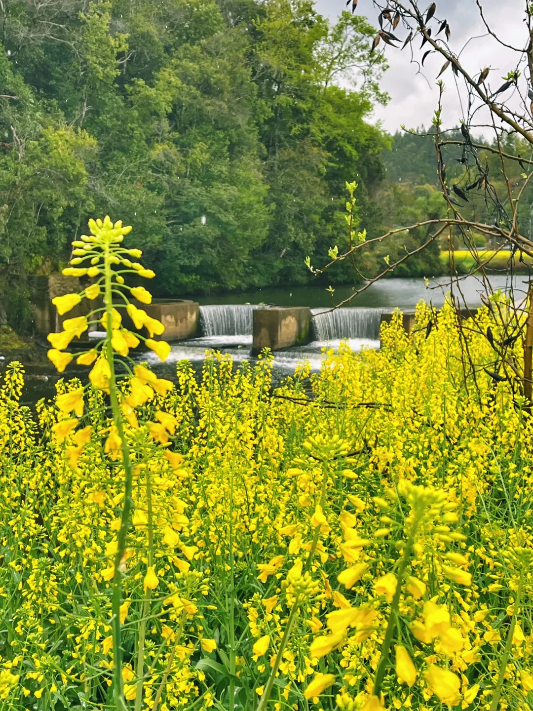 冷门景点都是有原因的!