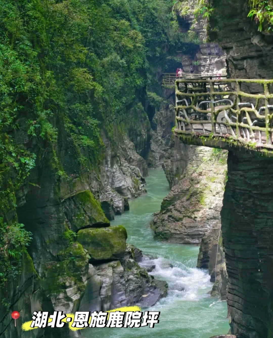 清明拒绝人挤人!快来看这六个小众旅行地~🌸