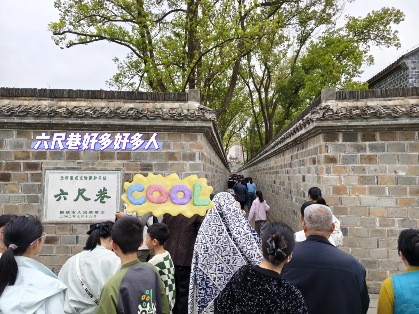 桐城之行