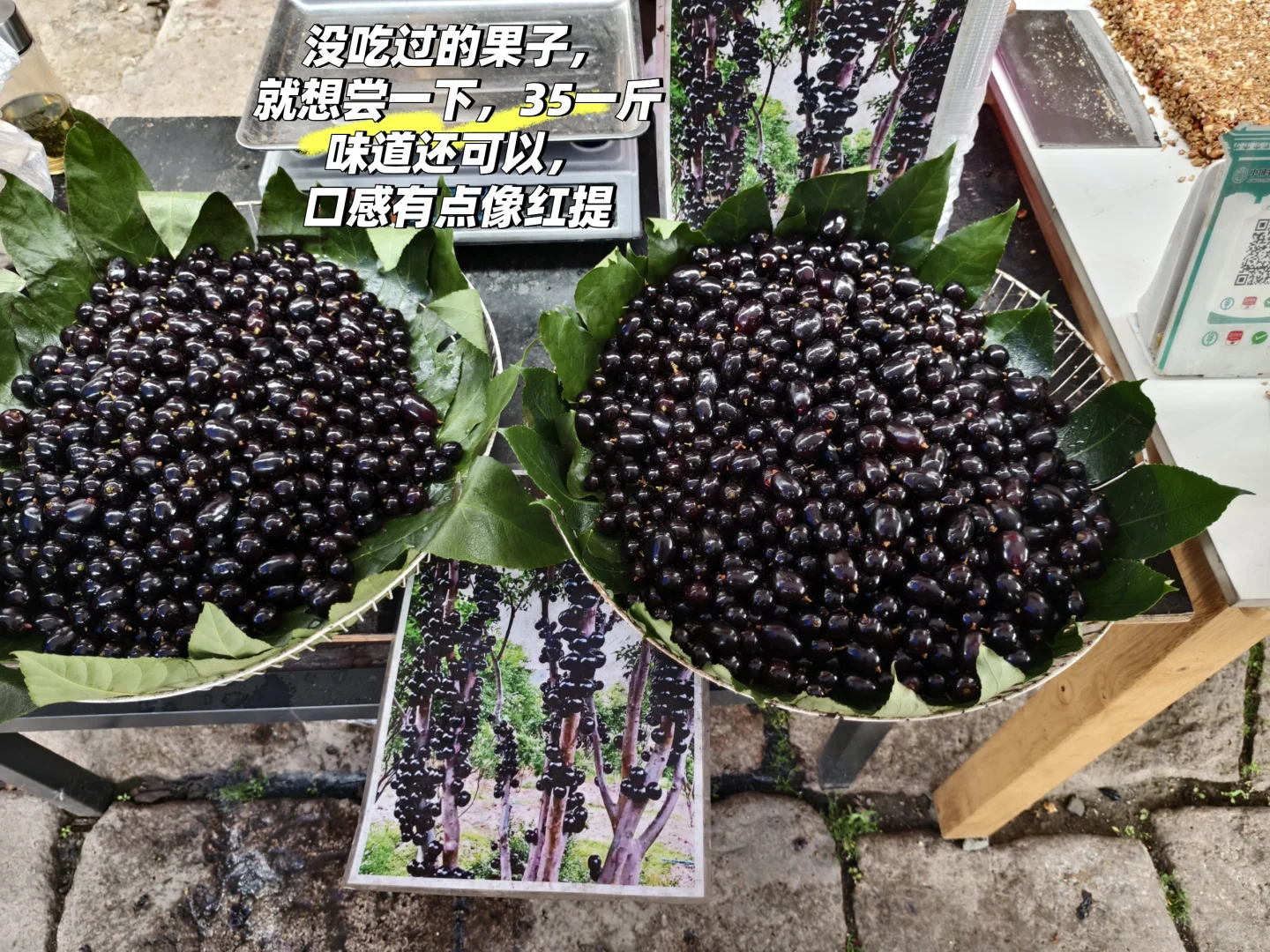 桐城之行