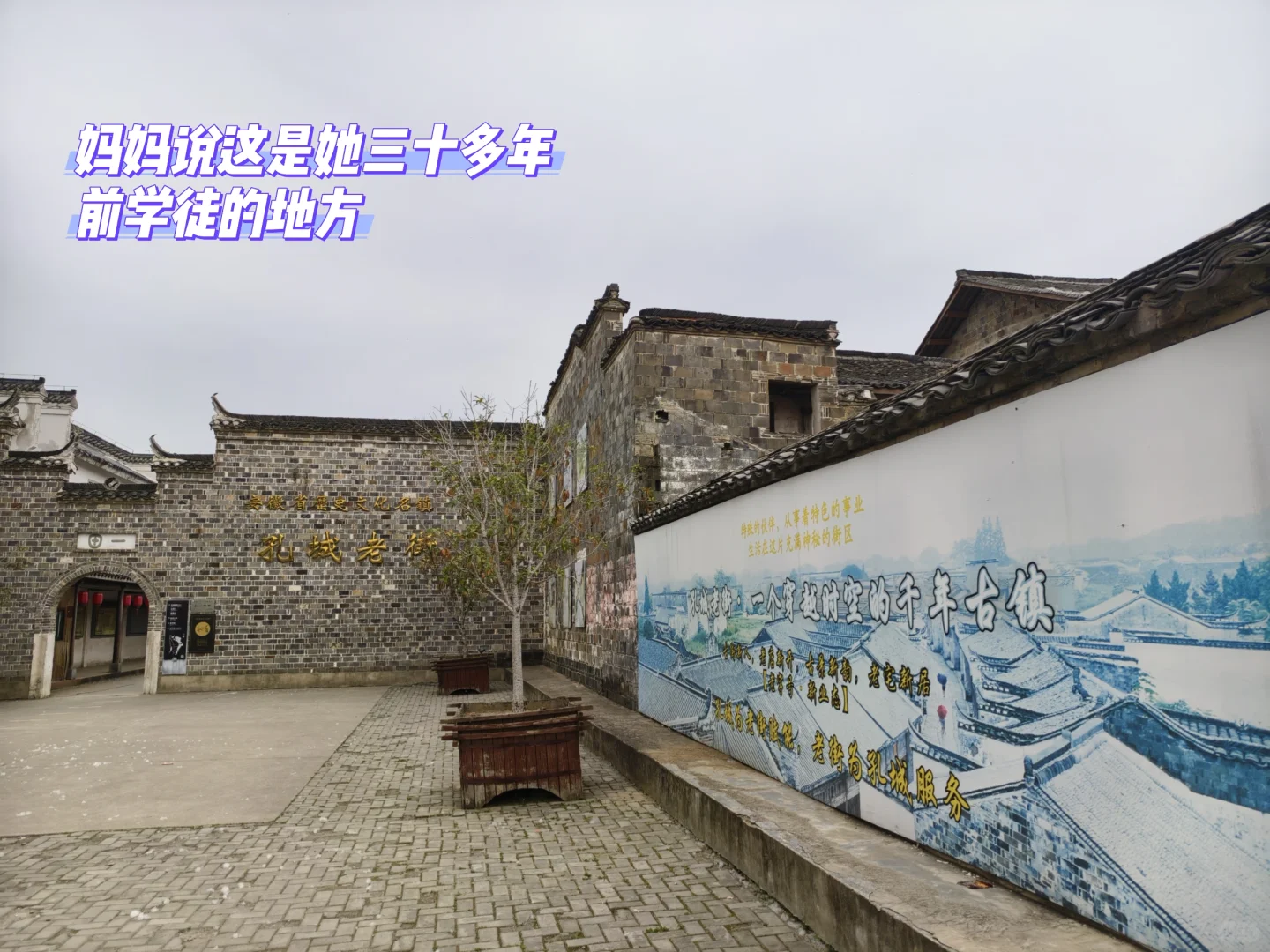 桐城之行