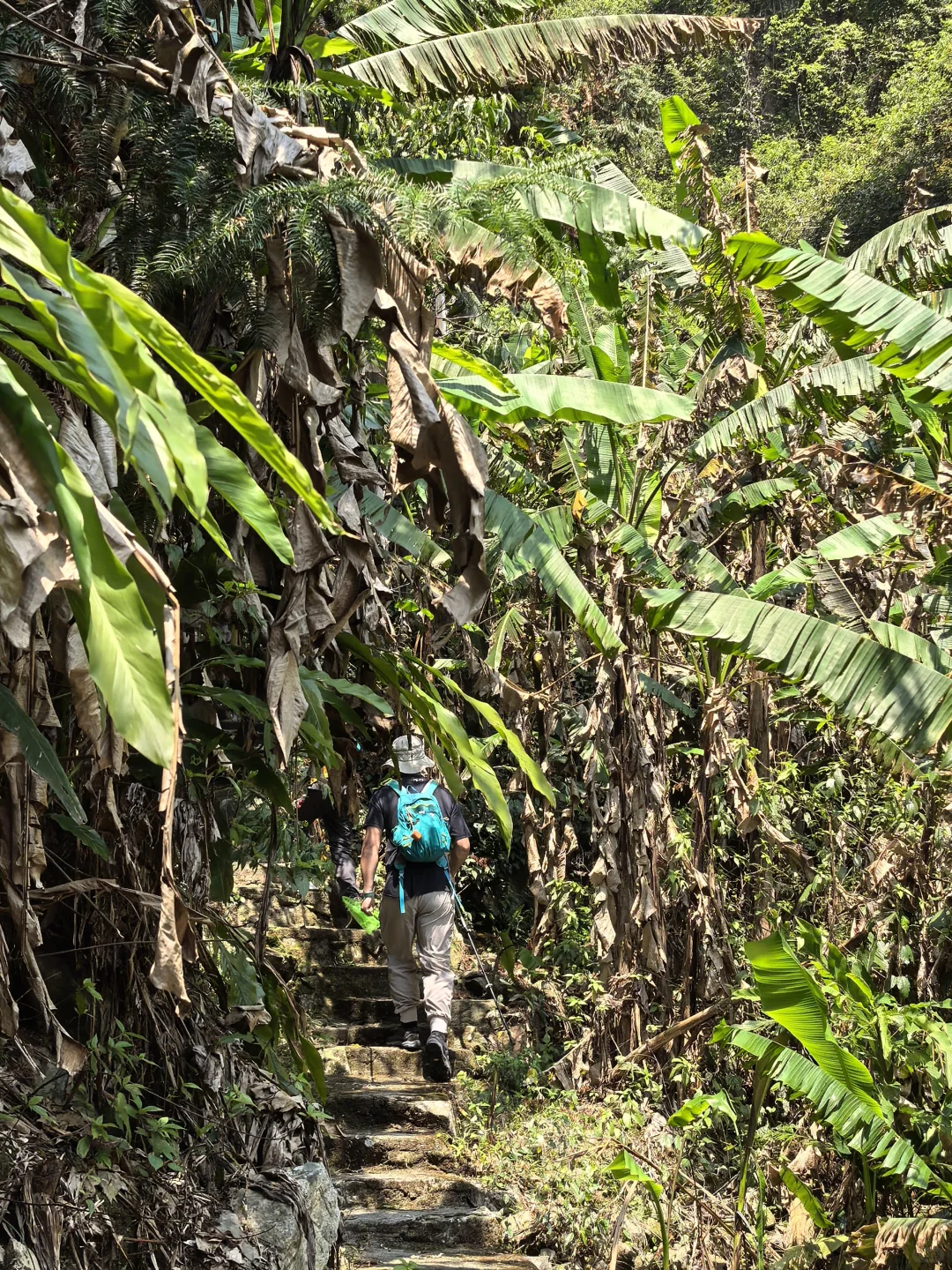 第16条亲子路线 森林秘境云堡寨