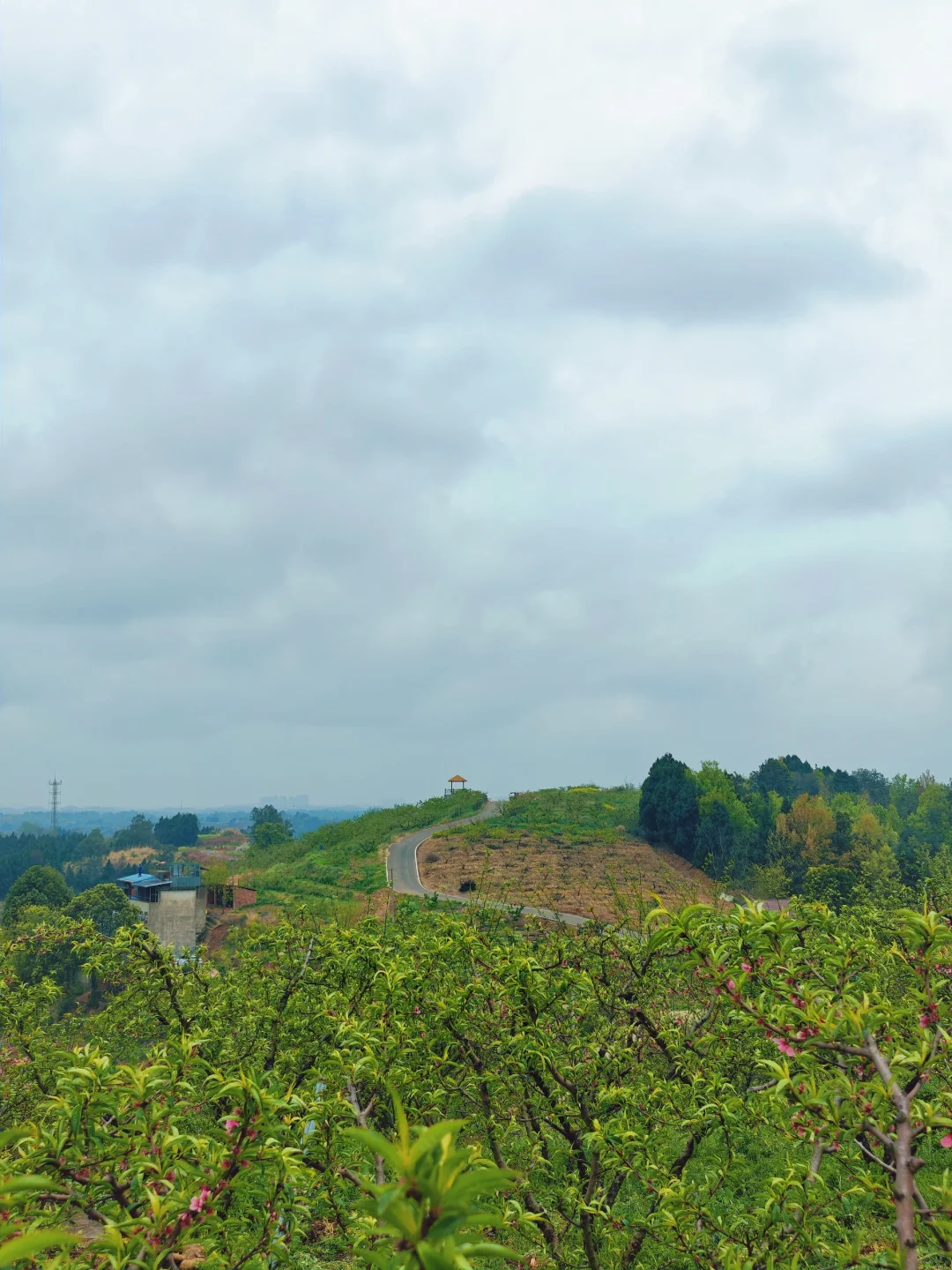 比龙泉山人少,比林芝近!成都人的桃花源