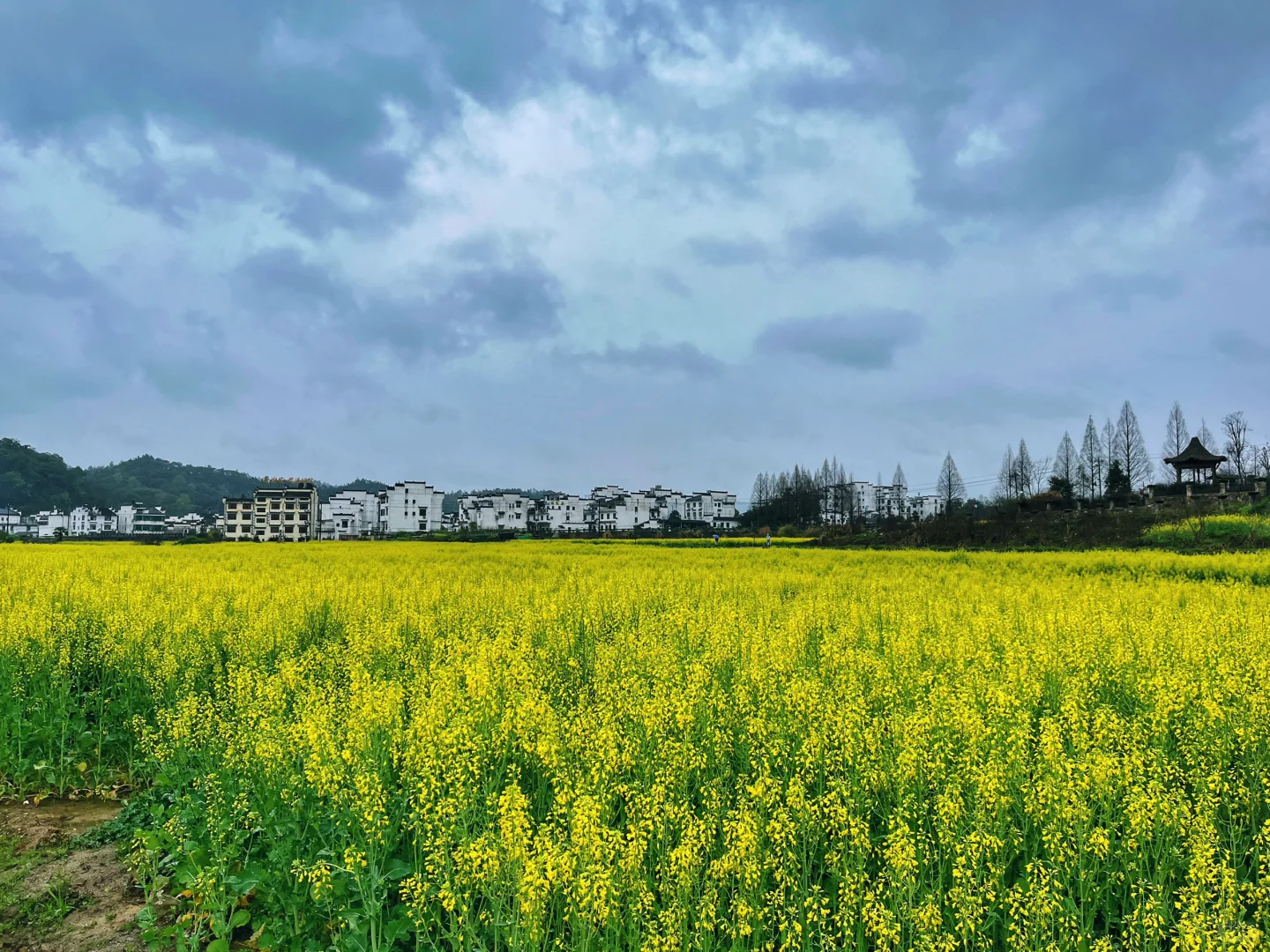 冷门景点都是有原因的!