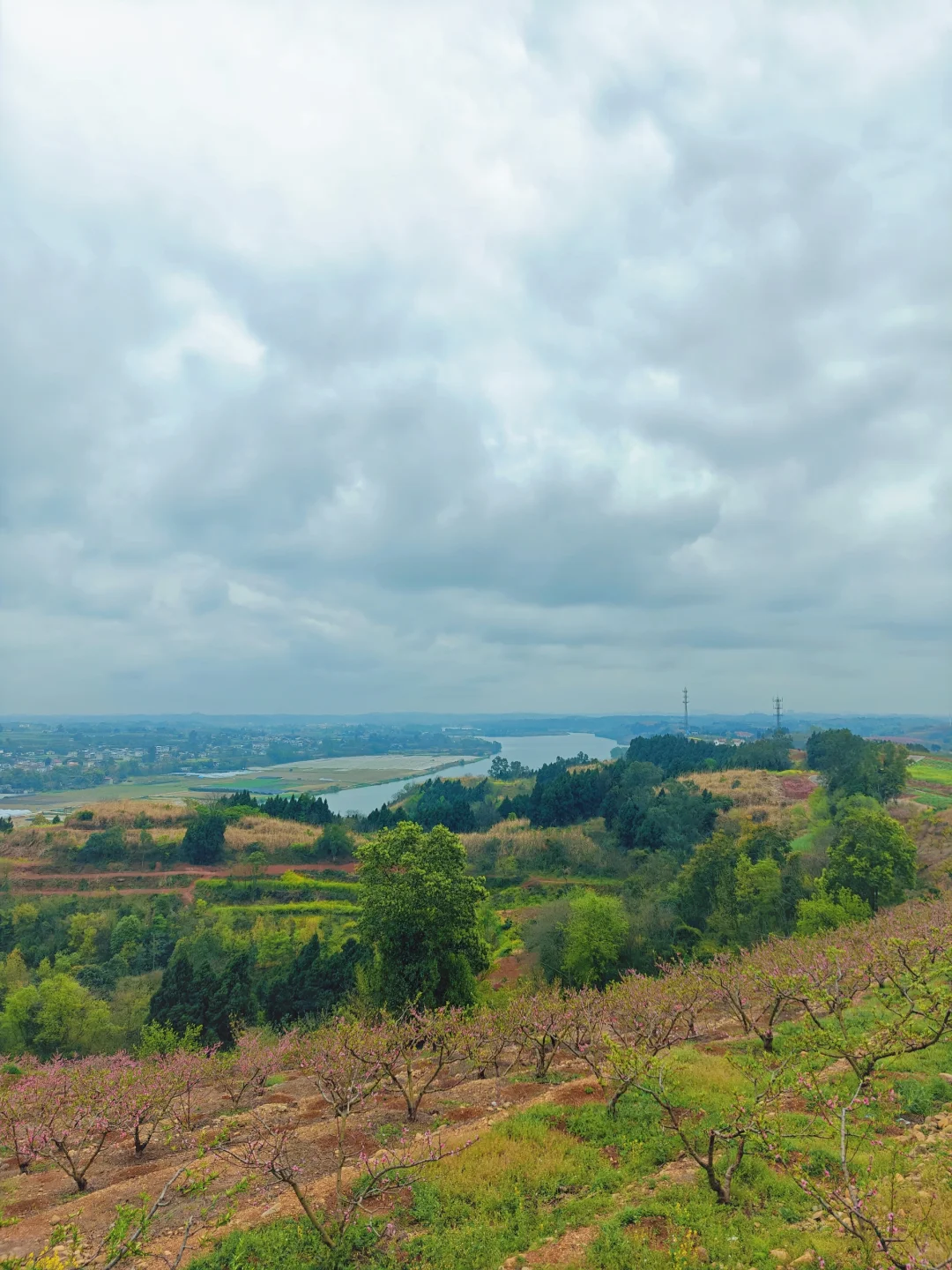 比龙泉山人少,比林芝近!成都人的桃花源