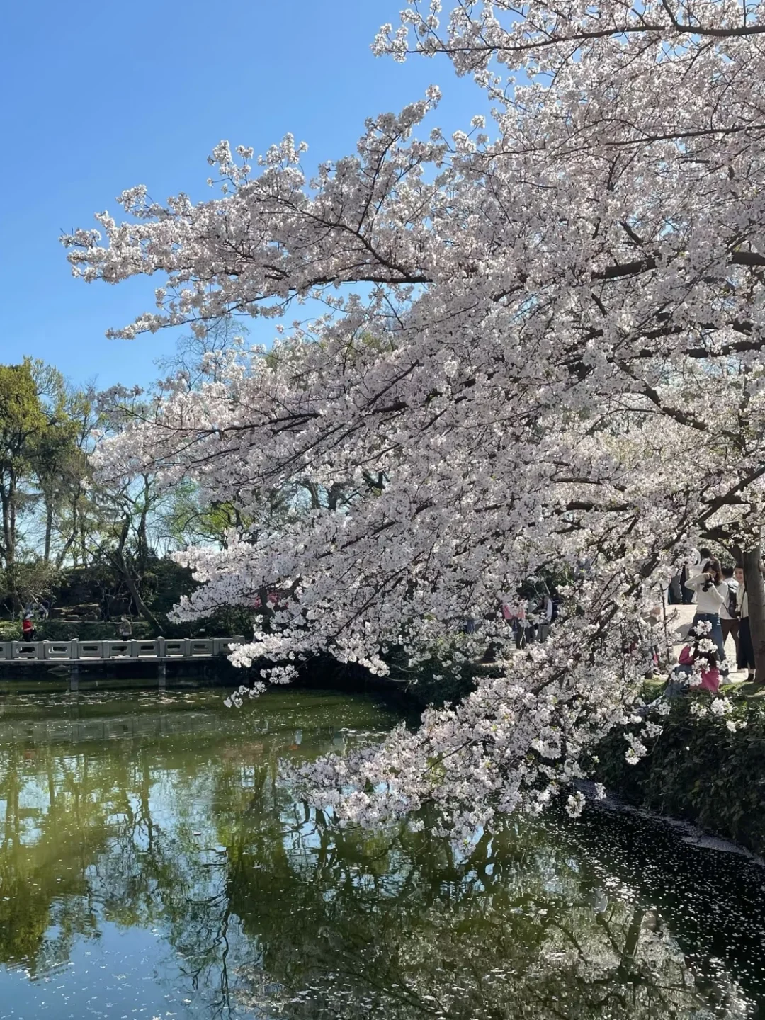 旅游不是研究生的解药