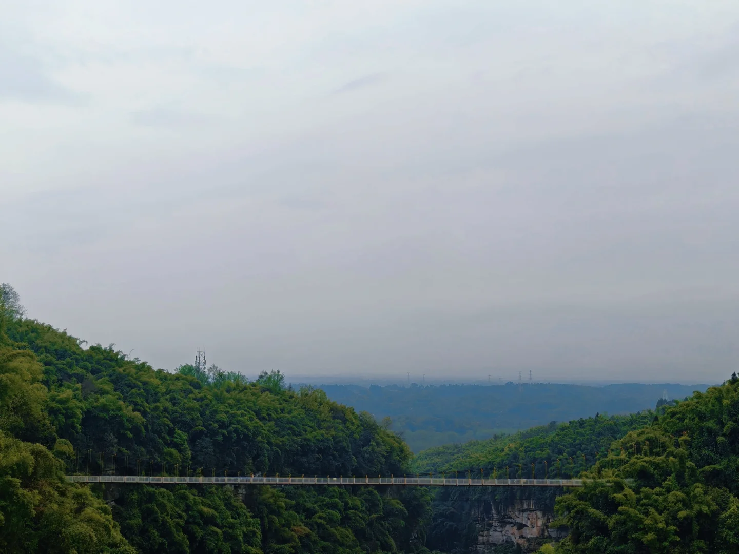 邛崃川西竹海，可以适当避坑