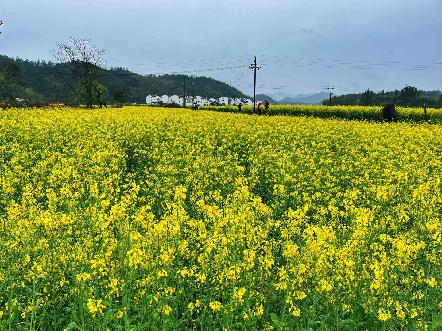 冷门景点都是有原因的!