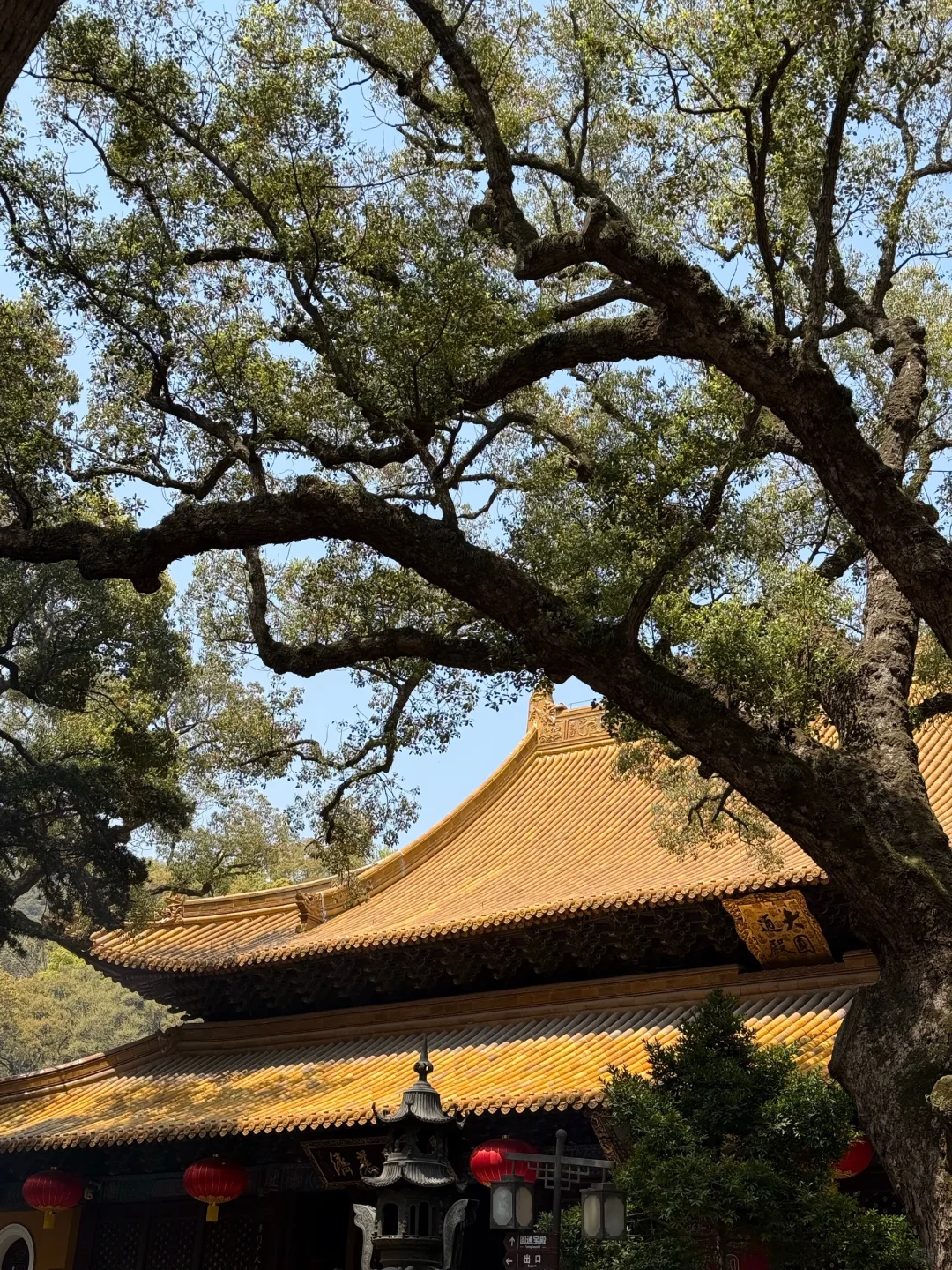 所求皆如愿