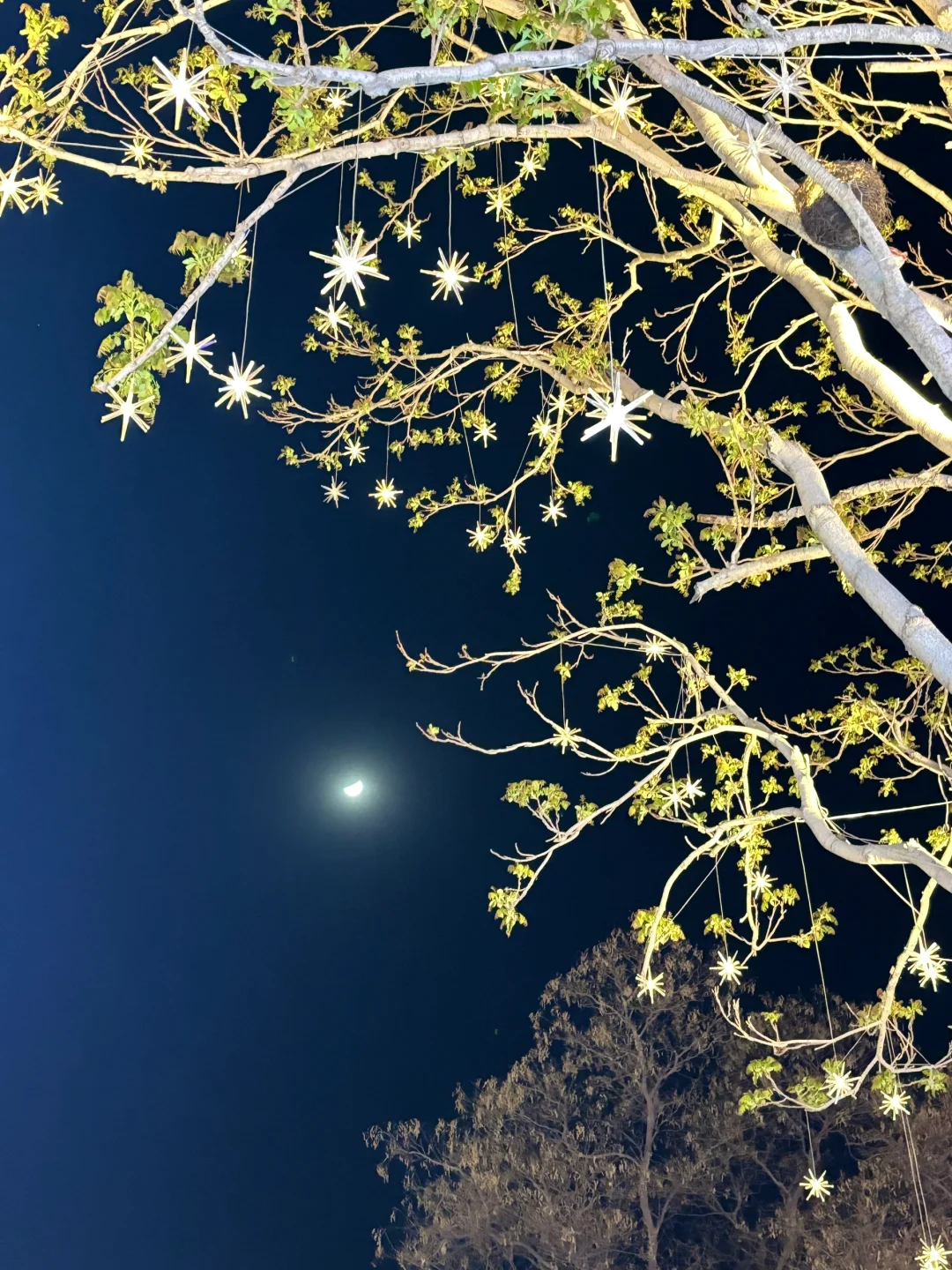 邯郸道|一座等了你三千年的城央视点名推荐