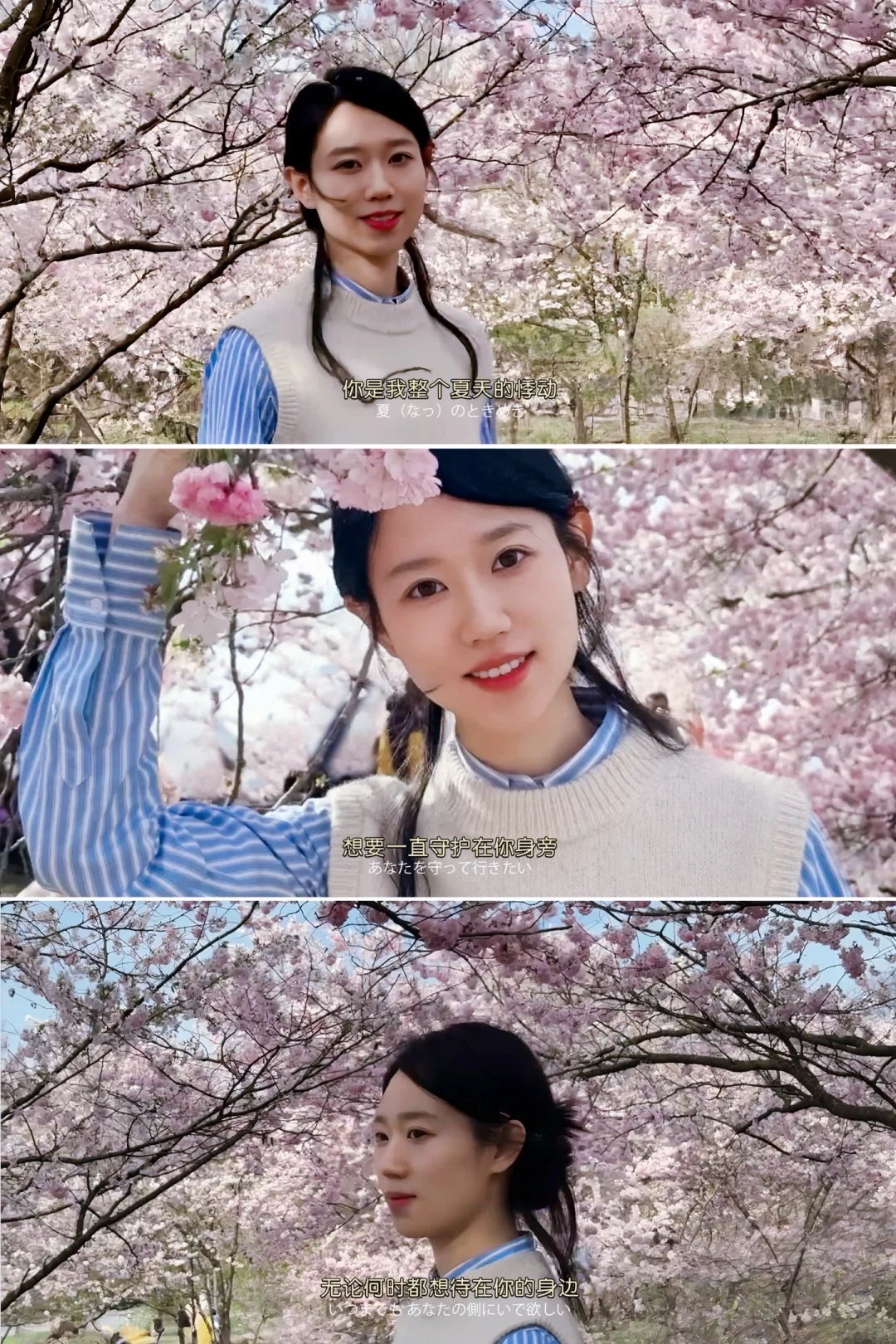 慕尼黑｜在樱花树下 世界是季节限定的粉色
