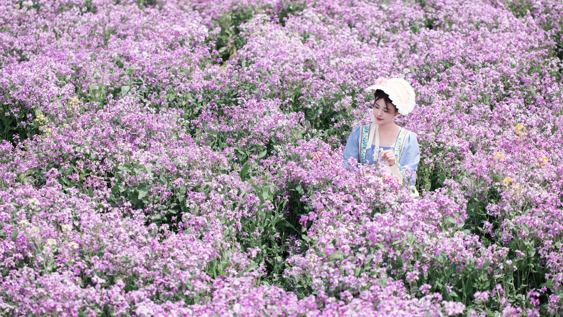 合肥普罗旺斯·肥西派园🌸