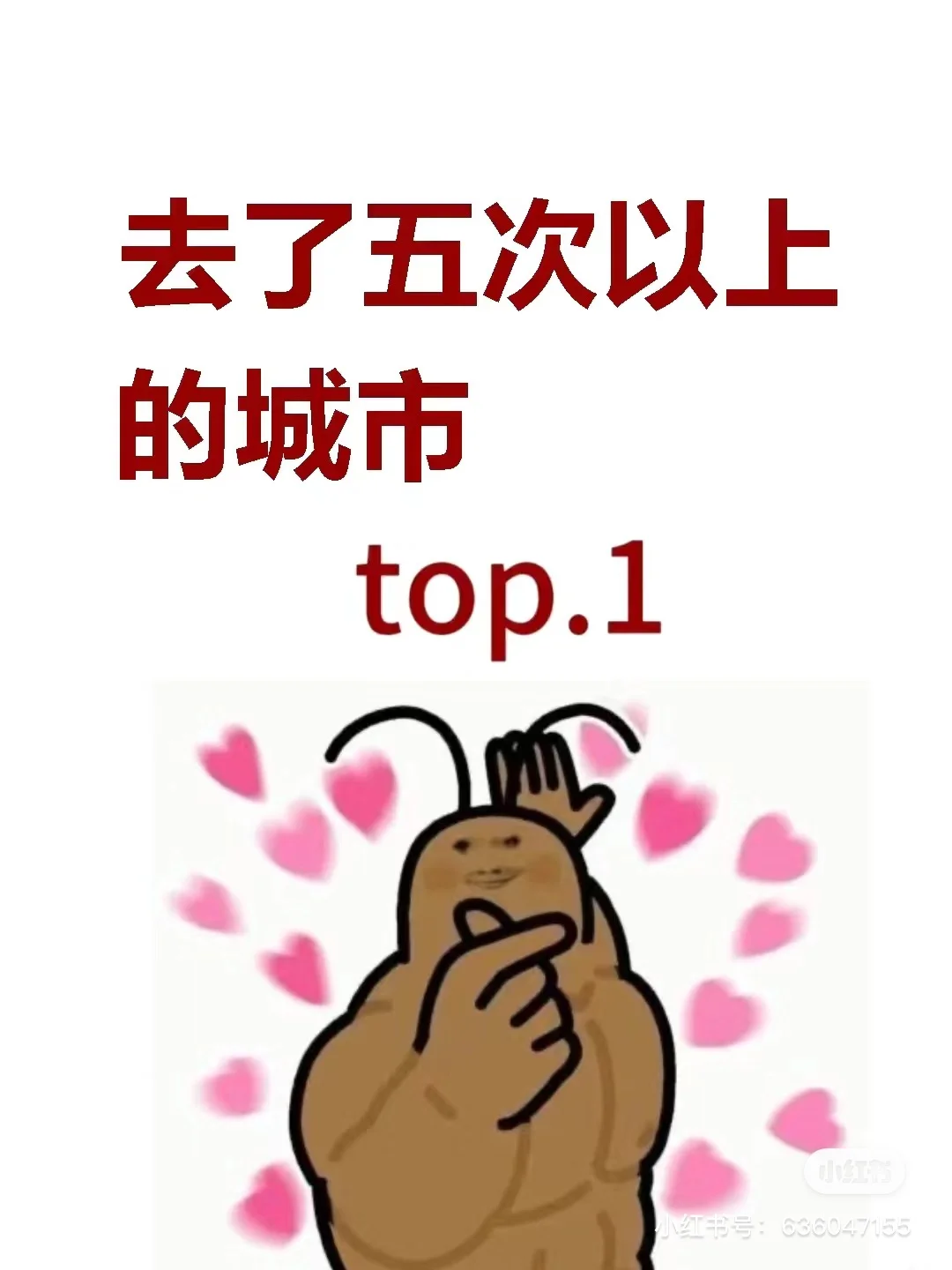 去了五次以上的城市top.1
