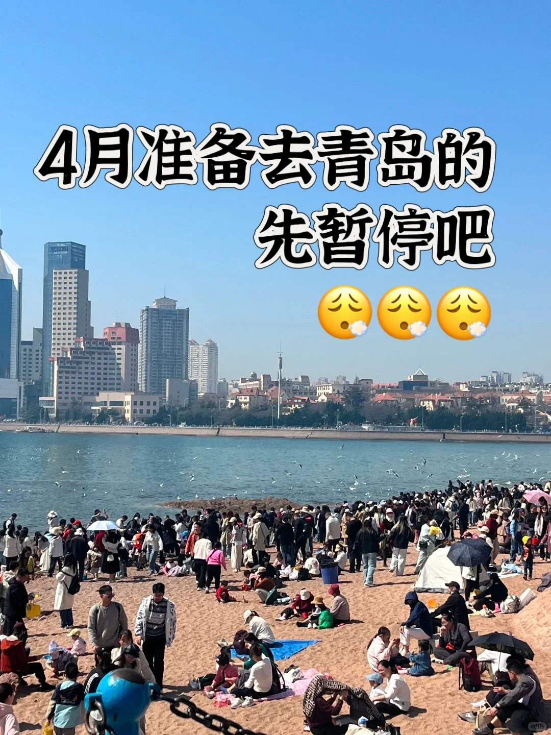 4月份准备来青岛的朋友们，先暂停吧‼️🙉