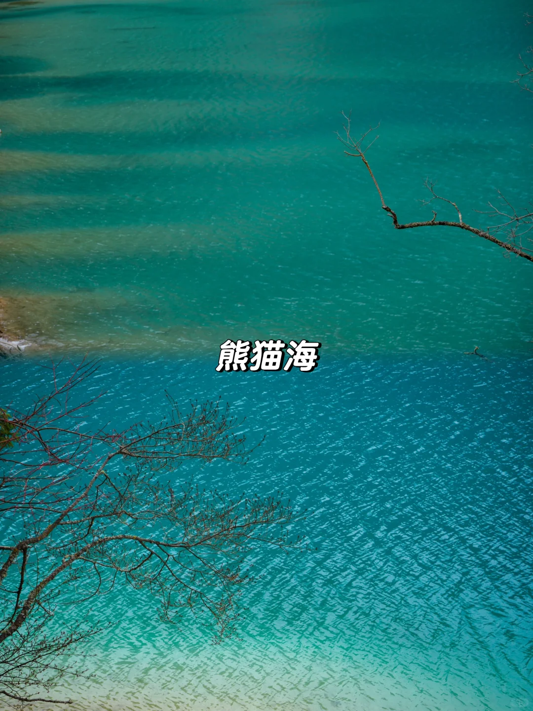 枯水期的九寨沟就这样玩
