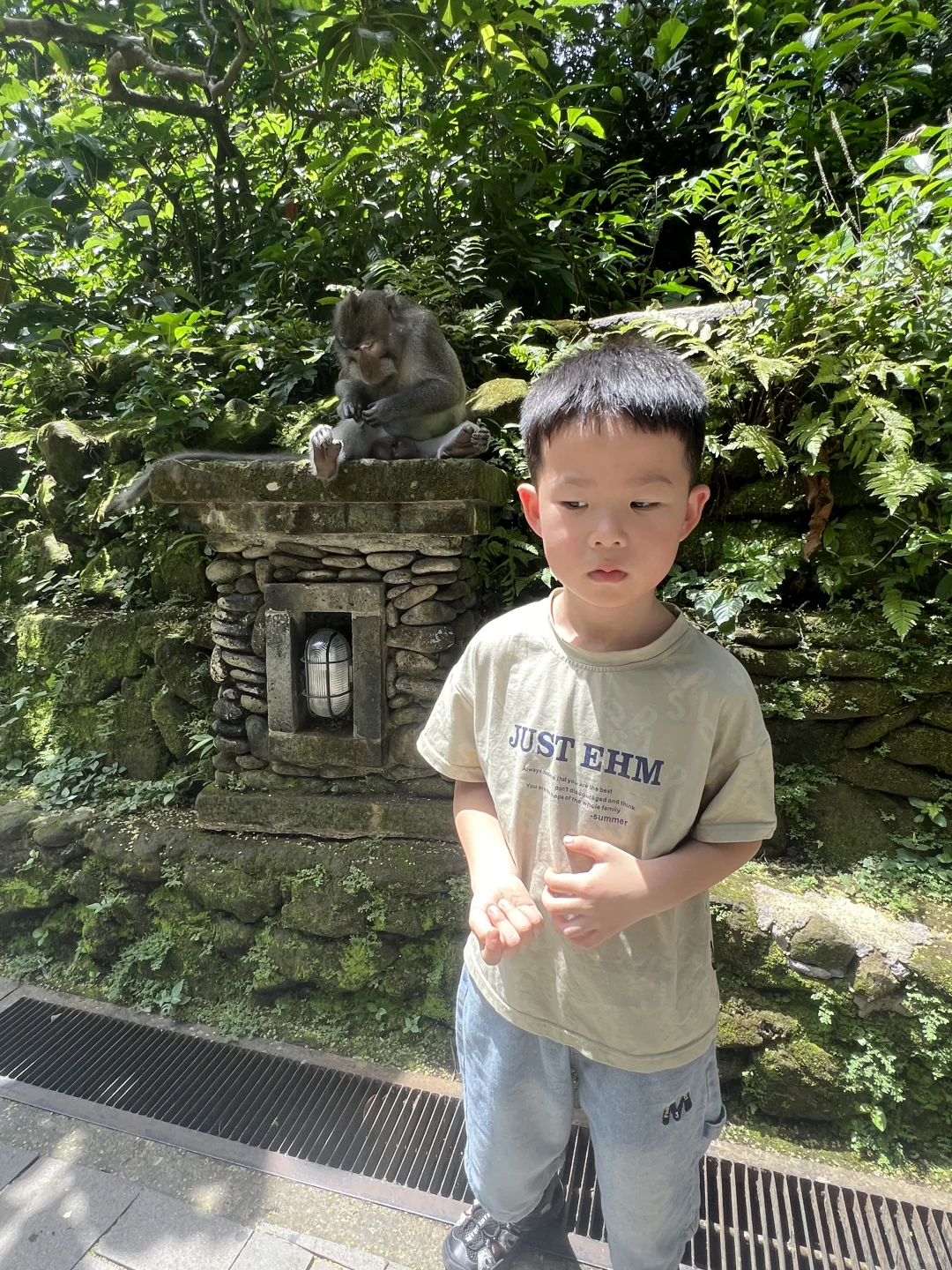 巴厘岛特种兵之旅