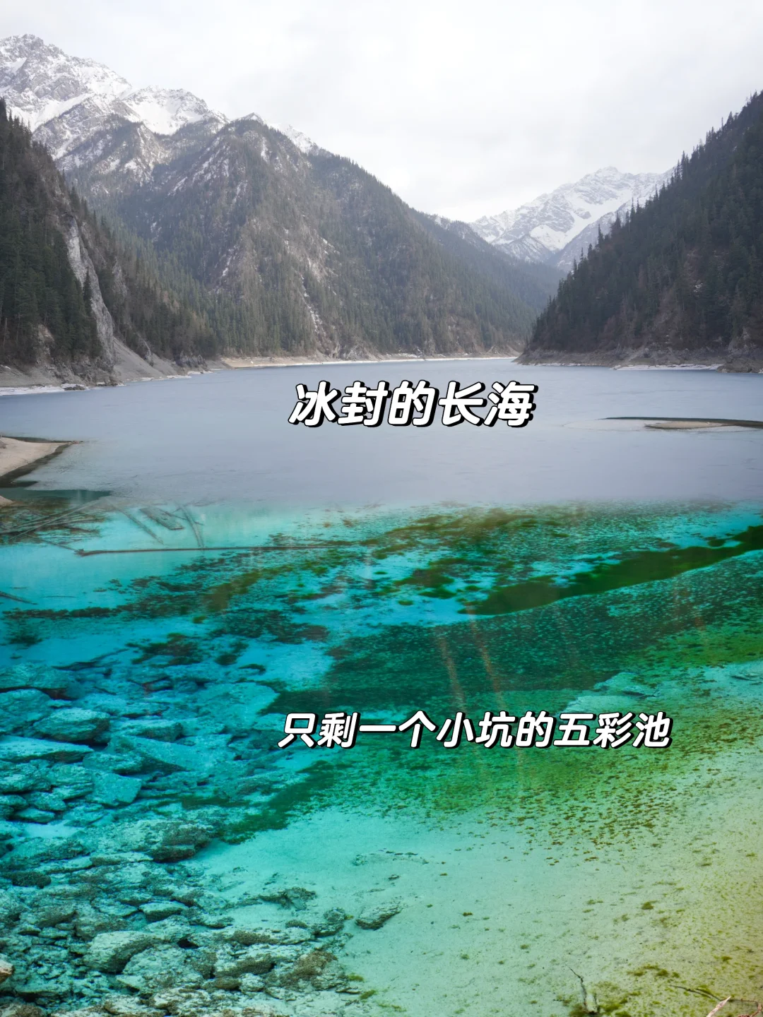 枯水期的九寨沟就这样玩