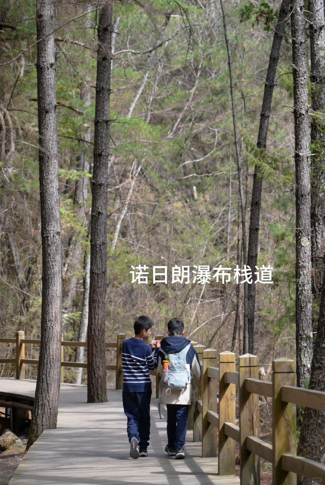 枯水期的九寨沟就这样玩