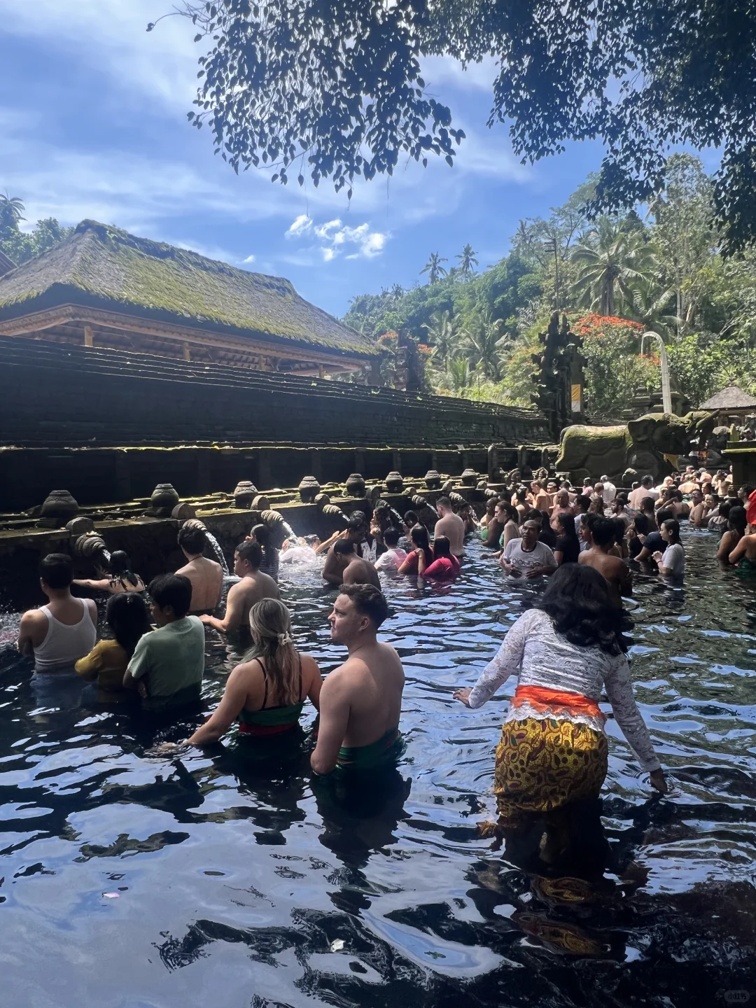 巴厘岛特种兵之旅