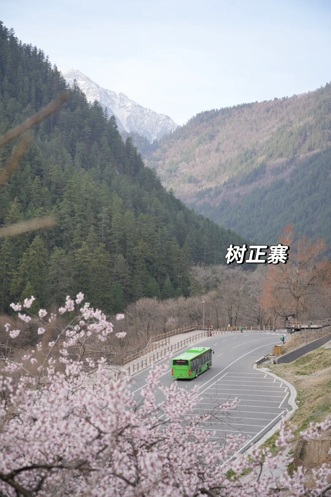 枯水期的九寨沟就这样玩