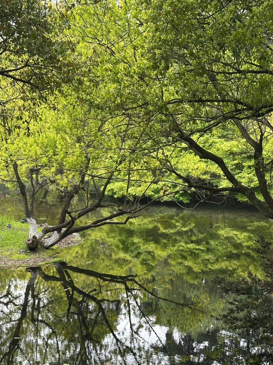 良辰美景西湖不误～