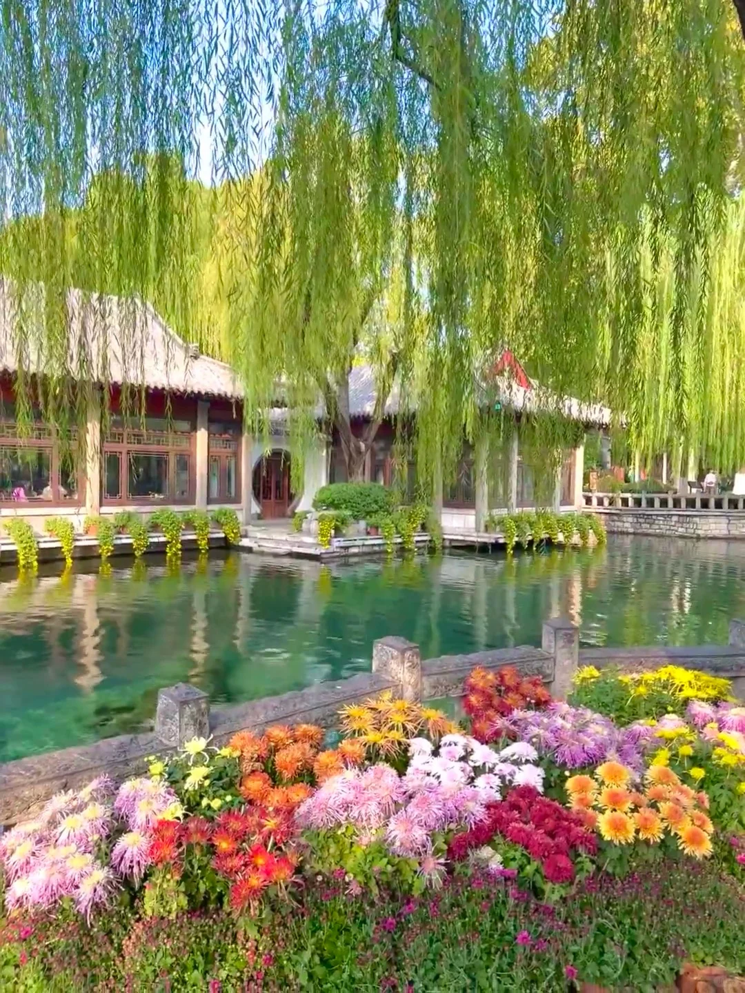 济南已回...真心提醒4月打算去的朋友们🤬