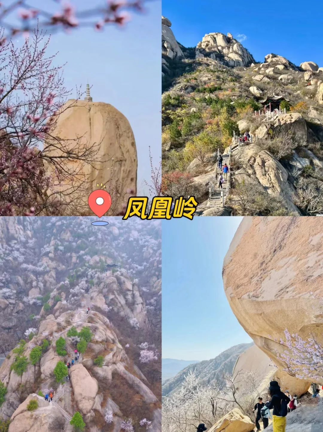天津春日徒步🍃8条新手友好路线，踏青不