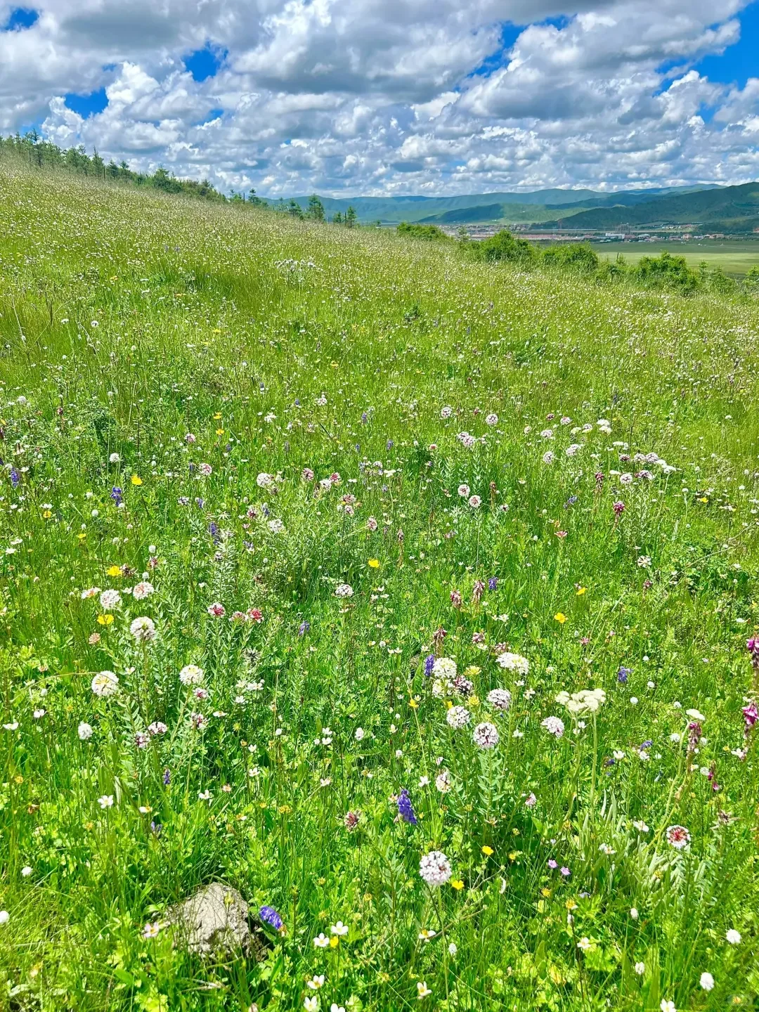 甘南已回，5月淡季去 人少景美还便宜！🏞