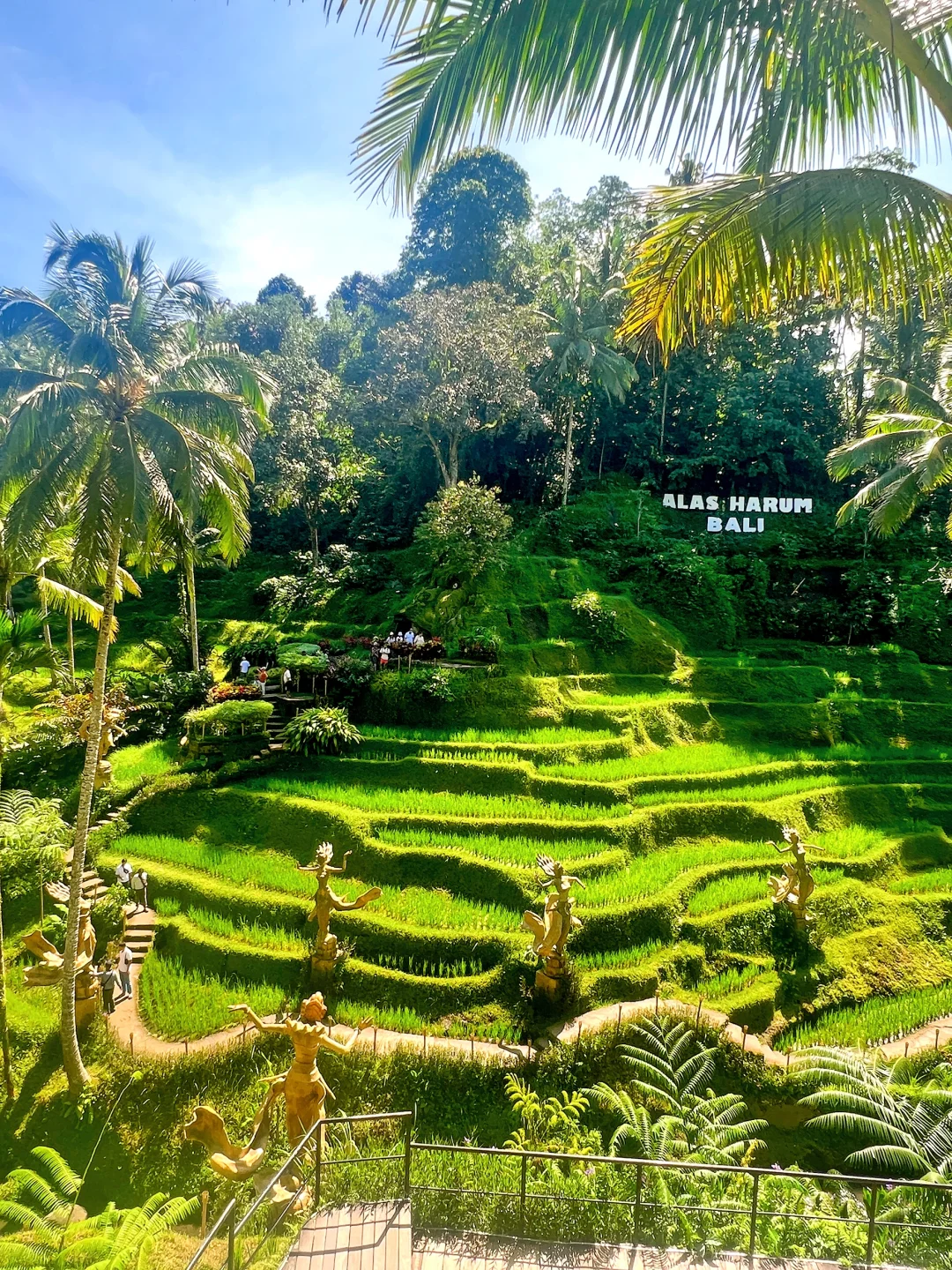 巴厘岛特种兵之旅