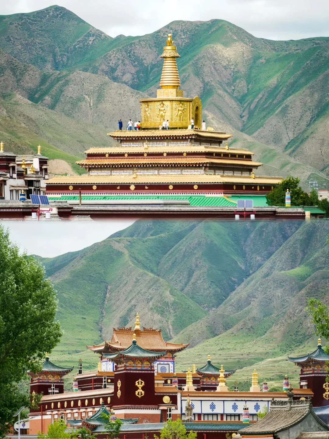 甘南已回，5月淡季去 人少景美还便宜！🏞