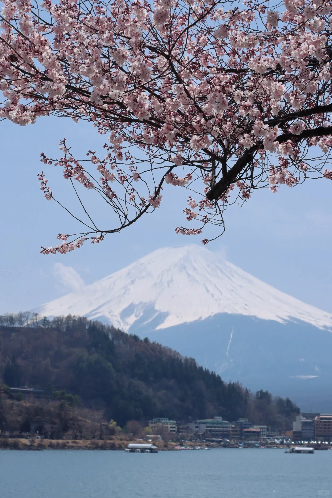 今天富士山能见度max！