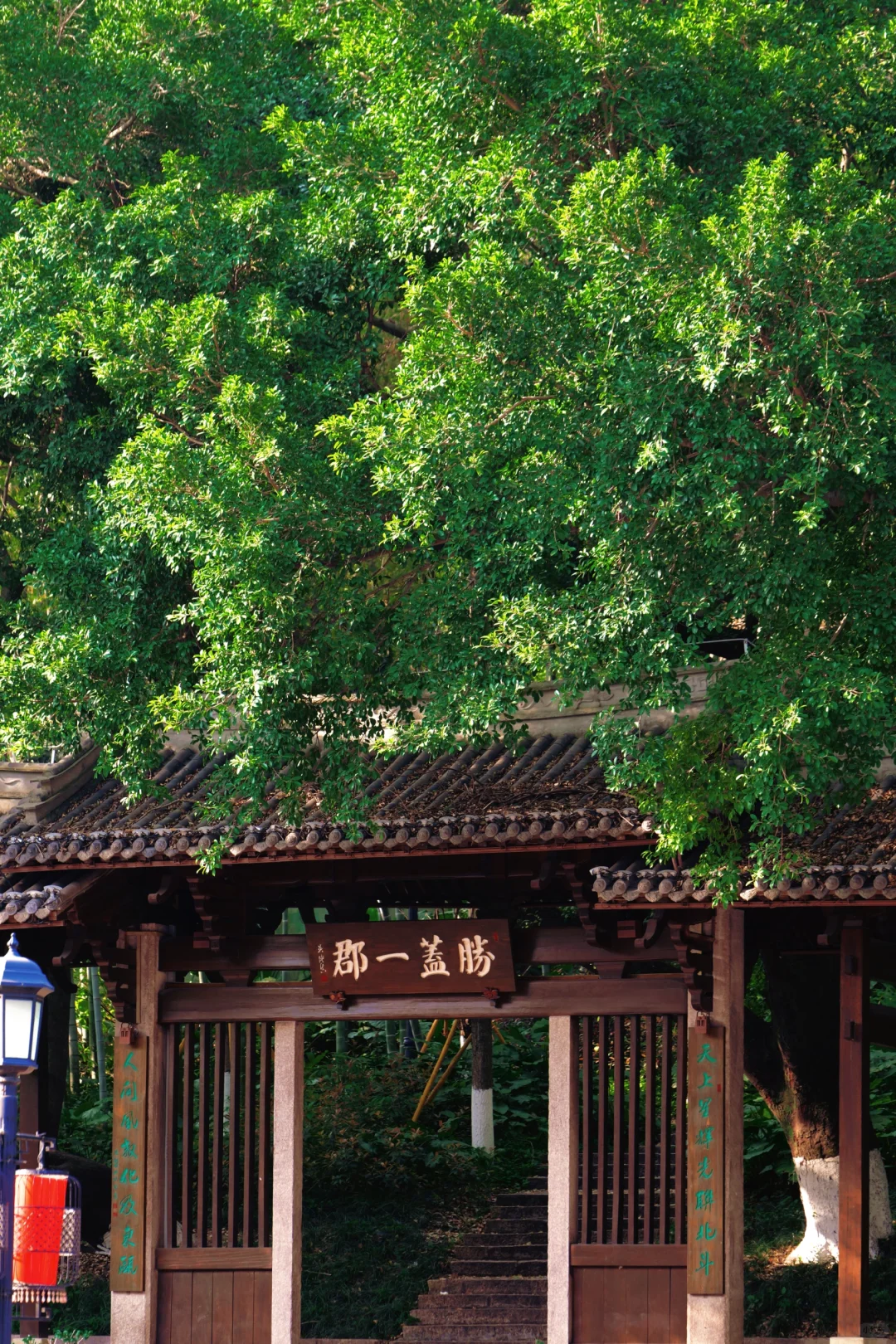 特种兵之一日游温州