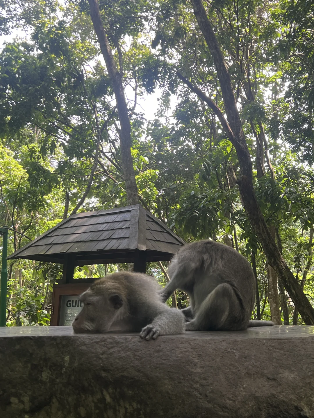 巴厘岛特种兵之旅