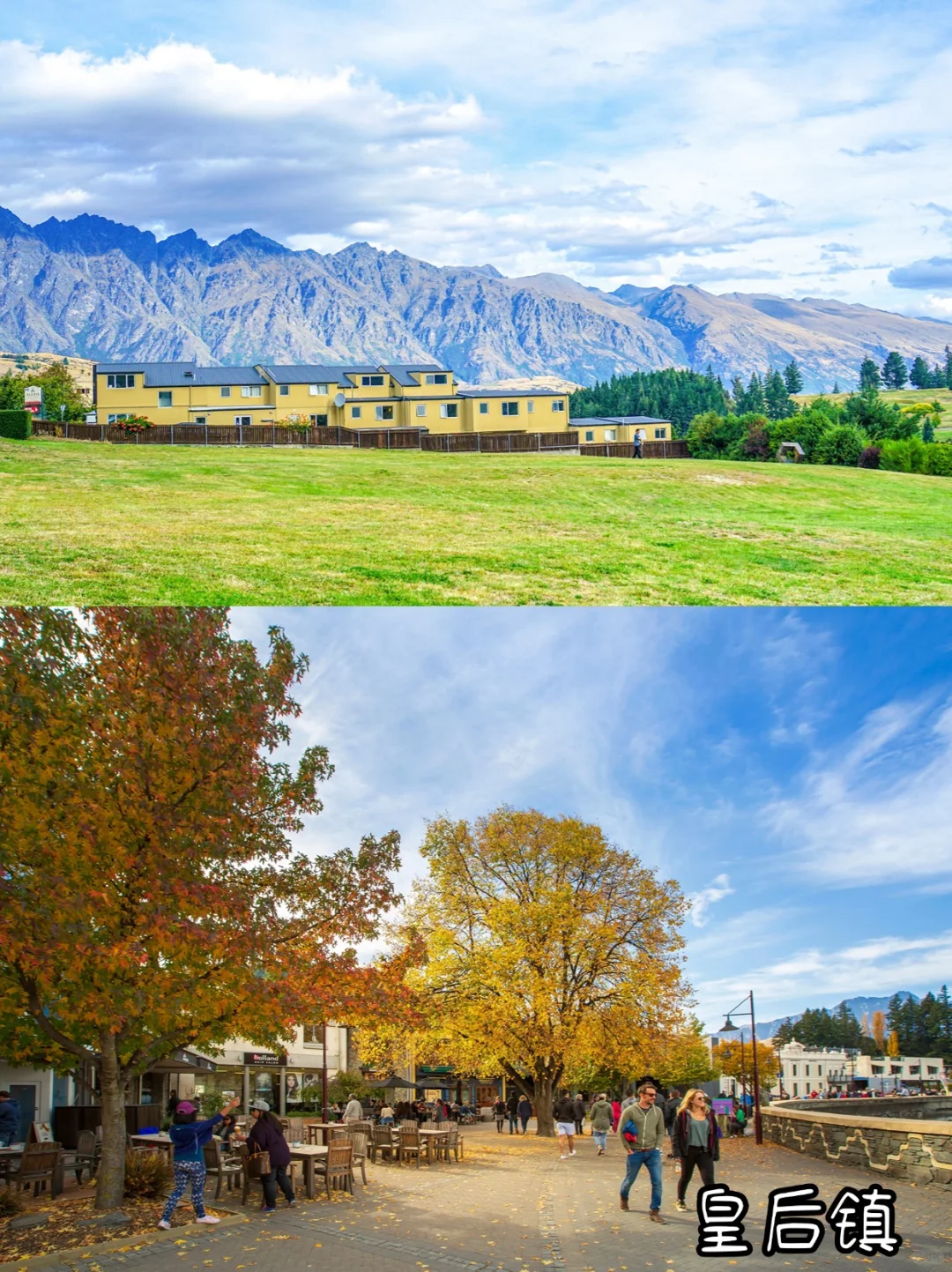 新西兰会惩罚每一个不提前预约的人