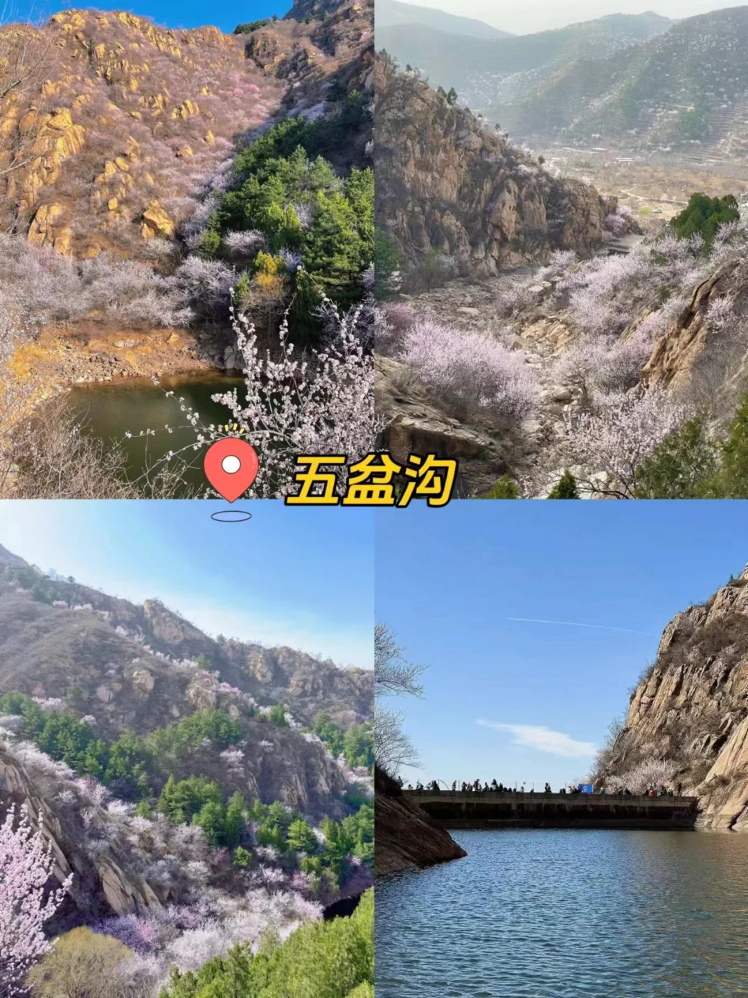 天津春日徒步🍃8条新手友好路线，踏青不