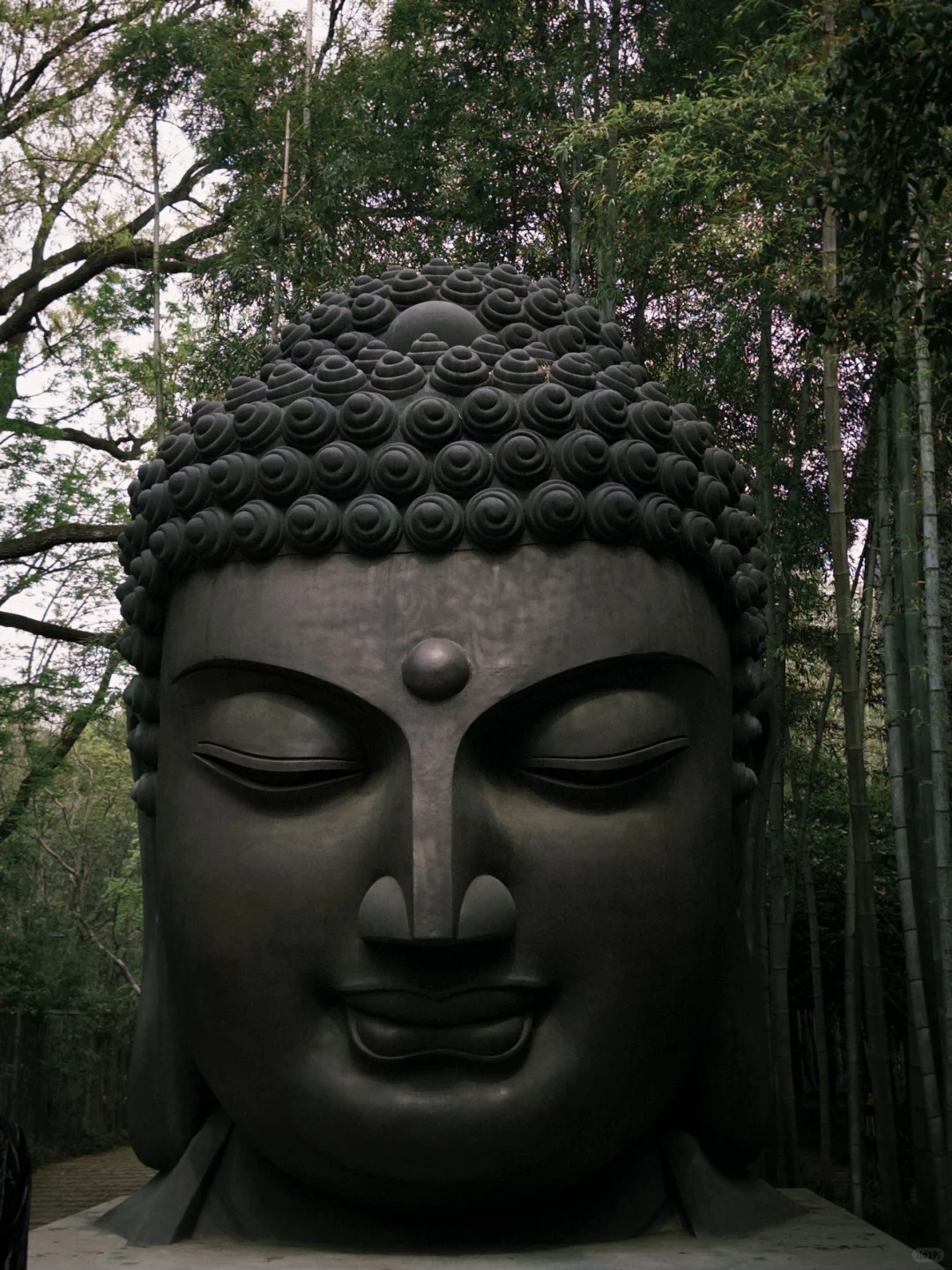 良辰美景西湖不误～