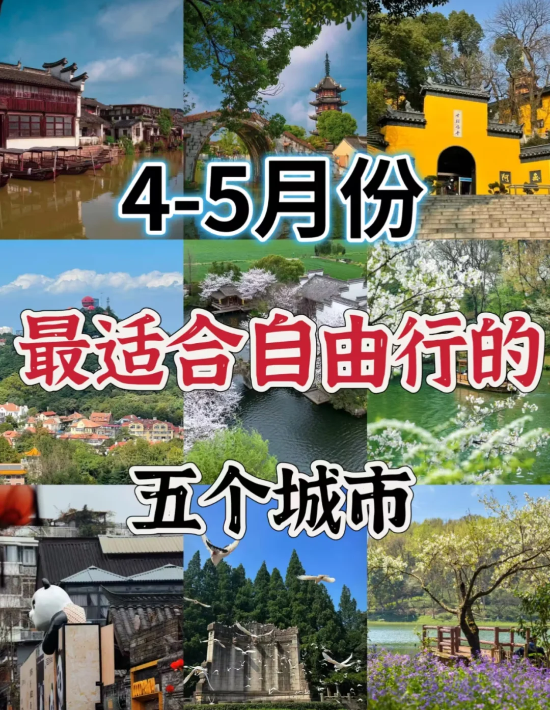 🌸4-5月就去这里💓适合自由行5⃣️个旅行地