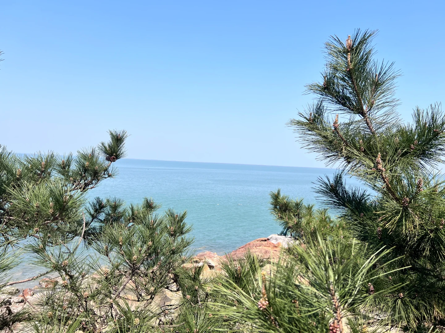 4月1日连云港连岛一日游