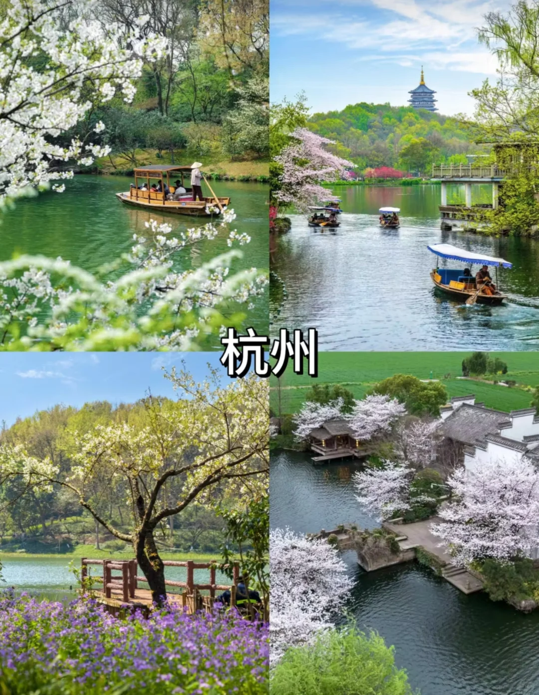 🌸4-5月就去这里💓适合自由行5⃣️个旅行地