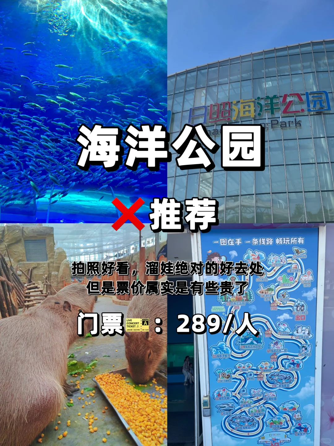 愿每个来日照旅游的人都能刷到这篇避坑指南