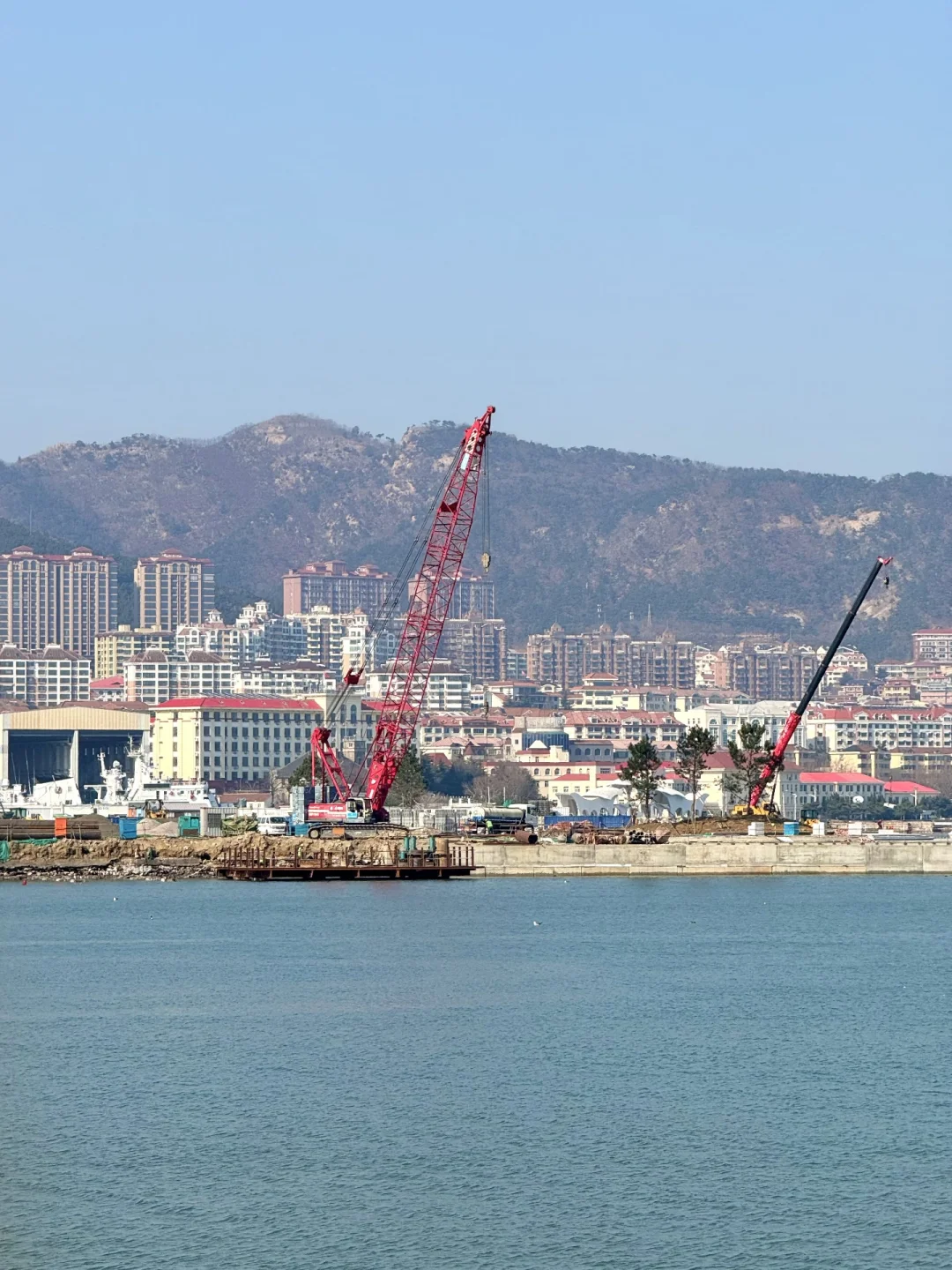 人生建议：一定要在3月去一次威海。。