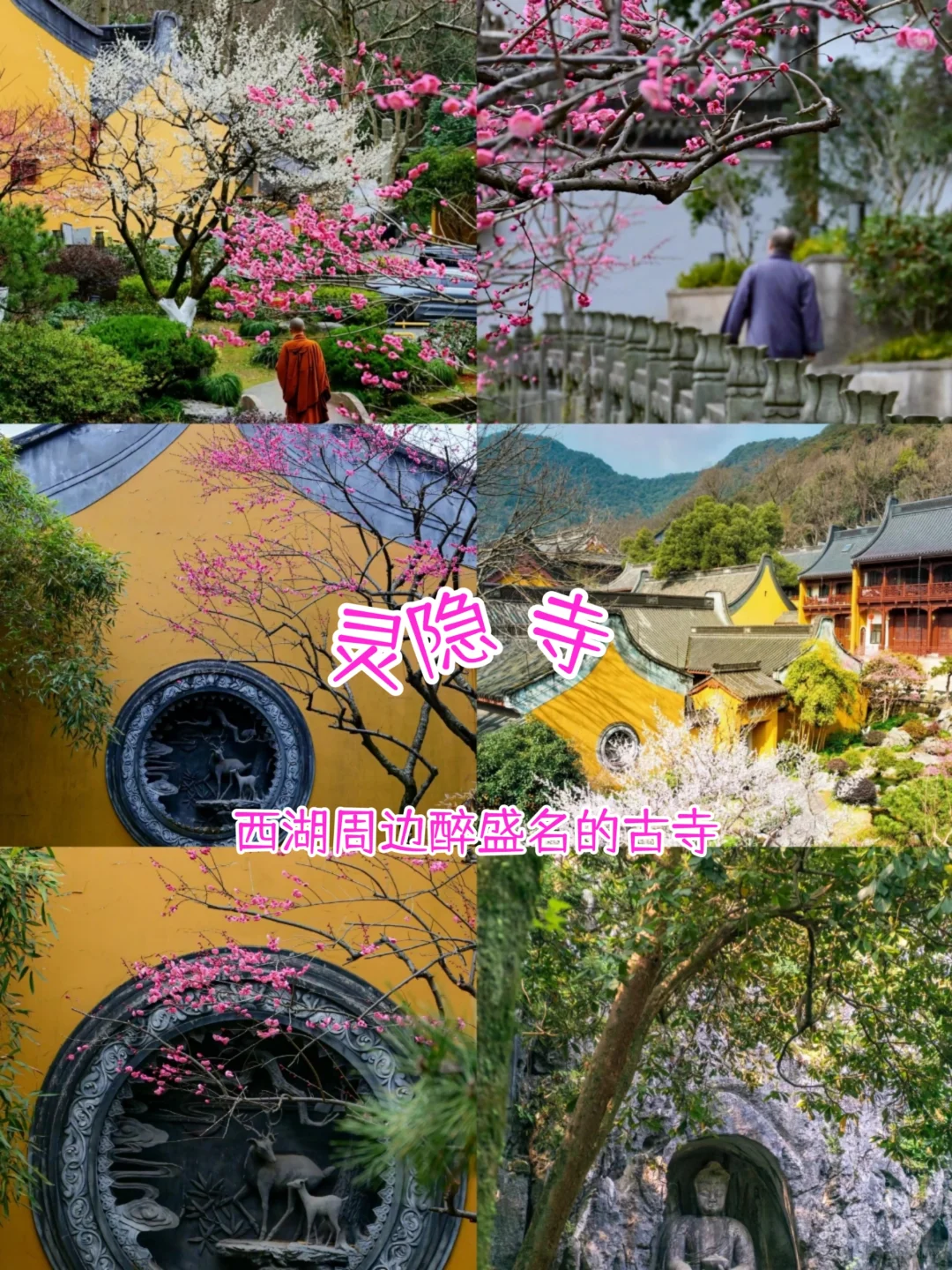 江南烟雨行💜苏杭三日游人均仅需600+💰