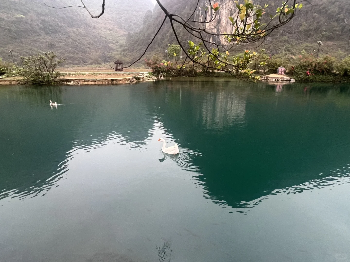 广西鹅泉景区免费游玩详细攻略