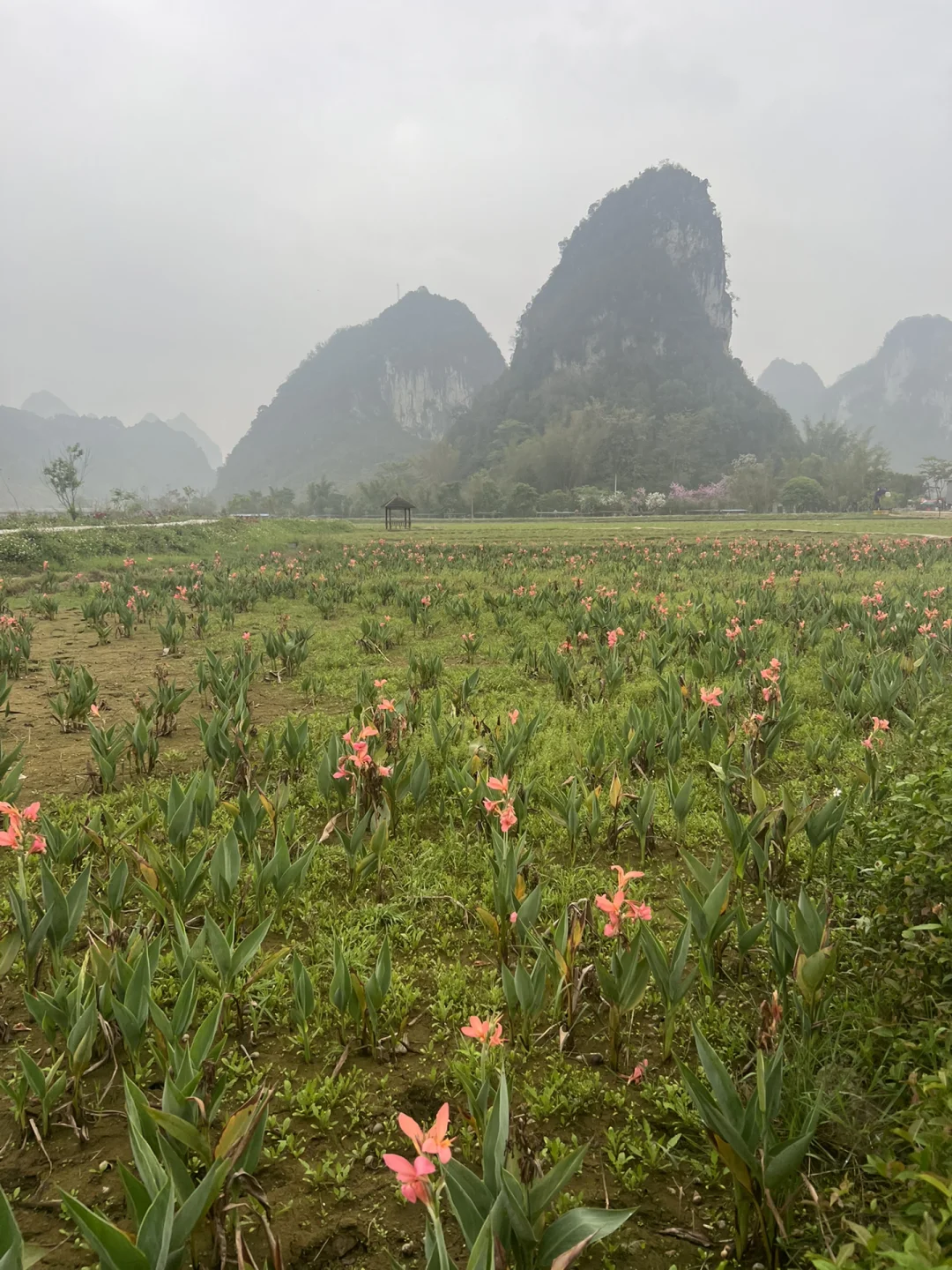 广西鹅泉景区免费游玩详细攻略